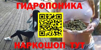 экстази Камышлов